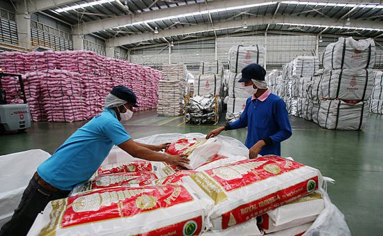 Giá gạo Thái Lan leo thang