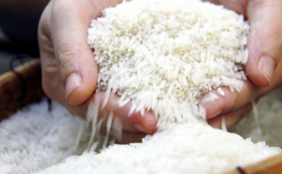 Giá gạo Việt Nam cao nhất thế giới