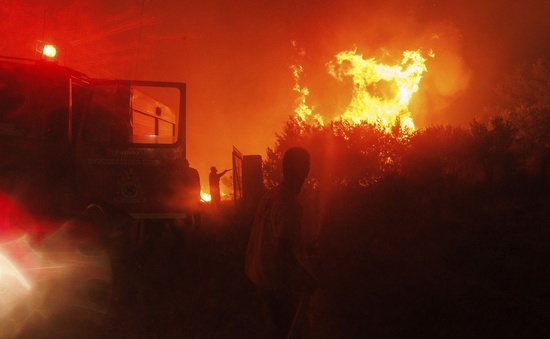 Hy Lạp phát hiện 18 thi thể nạn nhân tử vong do cháy rừng