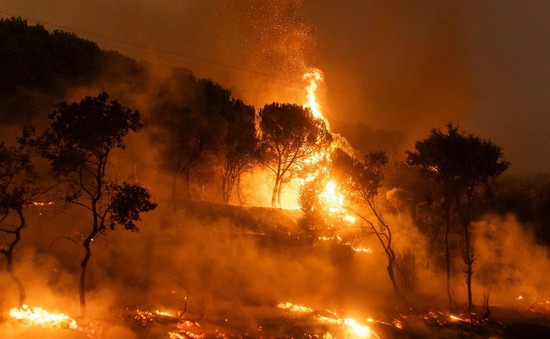 Hy Lạp huy động hơn 600 lính cứu hỏa tham gia chữa cháy rừng
