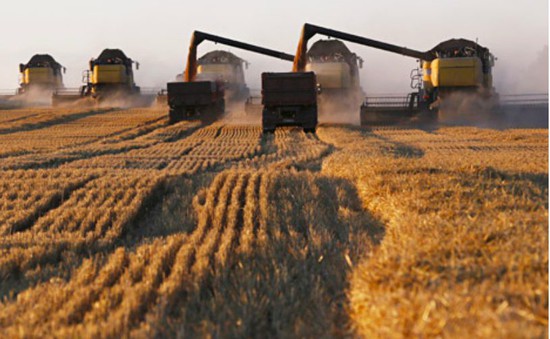 Xuất khẩu nông sản của Nga trước triển vọng sáng sủa