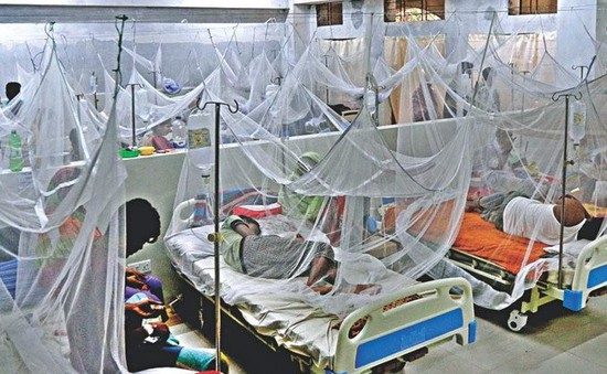 Số ca tử vong do sốt xuất huyết cao kỷ lục tại Bangladesh