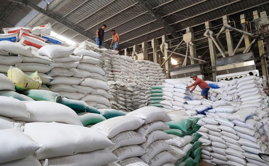 Giá gạo Việt xuất khẩu tăng cao kỷ lục