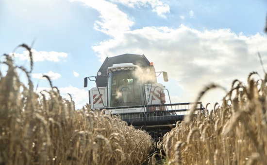 Ba Lan dọa gia hạn lệnh cấm nhập khẩu ngũ cốc Ukraine