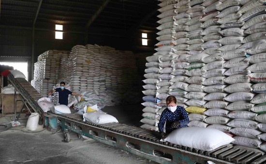 Xuất khẩu gạo khởi sắc, doanh nghiệp mạnh dạn vay vốn