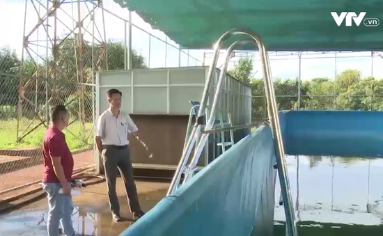 Nhiều bể bơi tại trường học ở Chư Pưh (Gia Lai) không sử dụng được, gây lãng phí