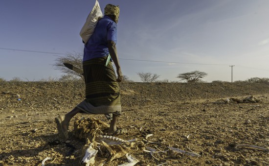 Liên hợp quốc kêu gọi hỗ trợ châu Phi ứng phó thảm họa khí hậu