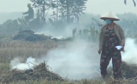 Hà Nội yêu cầu không để xảy ra hoạt động đốt rơm rạ gần sân bay Nội Bài
