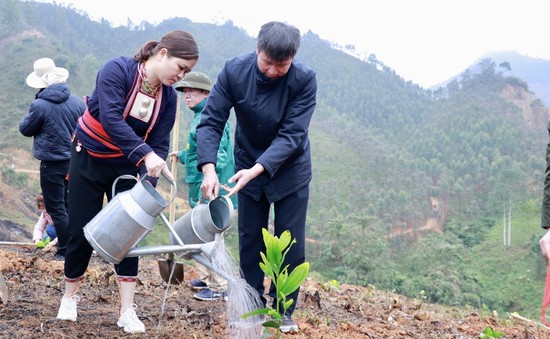 Việt Nam đang vượt chỉ tiêu thực hiện 1 tỷ cây xanh