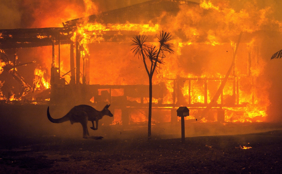 Hàng trăm lính cứu hỏa nỗ lực dập cháy rừng ở miền Tây Australia