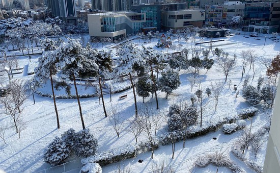 Nhiệt độ ở Seoul giảm sâu xuống -21,7 độ C