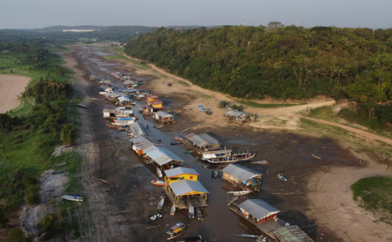 Biến đổi khí hậu gây hạn hán kỷ lục ở rừng nhiệt đới Amazon