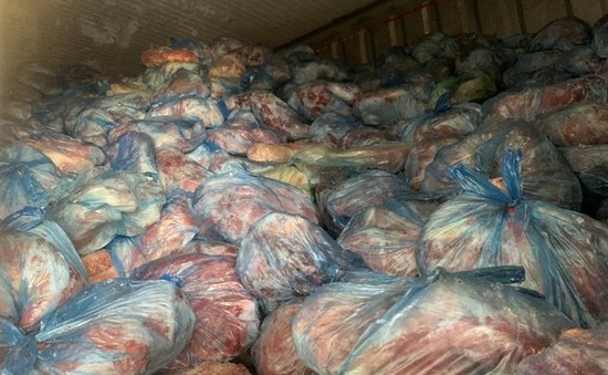 Hà Nội: Buộc cơ sở vi phạm tiêu huỷ 40 tấn thịt lợn nhiễm virus tả lợn châu Phi và dịch bệnh tai xanh