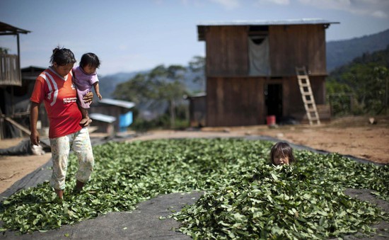 Peru thu giữ 7,2 tấn cocaine
