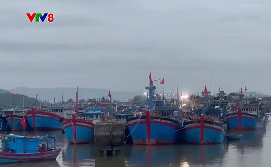 Đặc sắc Lễ hội "Mở biển" của ngư dân Quảng Ngãi