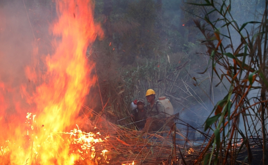 Cháy rừng ở quần thể khu du lịch quốc gia hồ Tuyền Lâm tại Đà Lạt