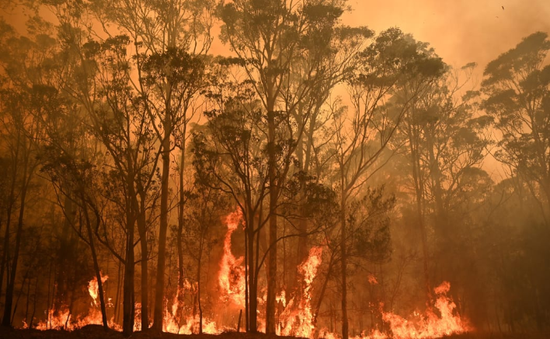 Australia cảnh báo cháy rừng do nắng nóng cực đoan