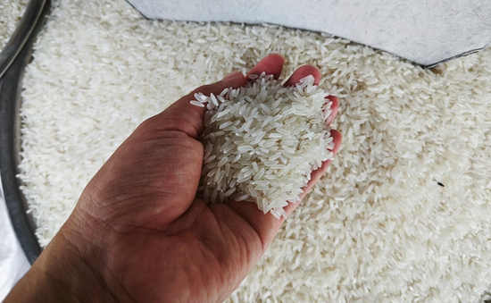 Cơ hội xuất khẩu gạo sang Indonesia