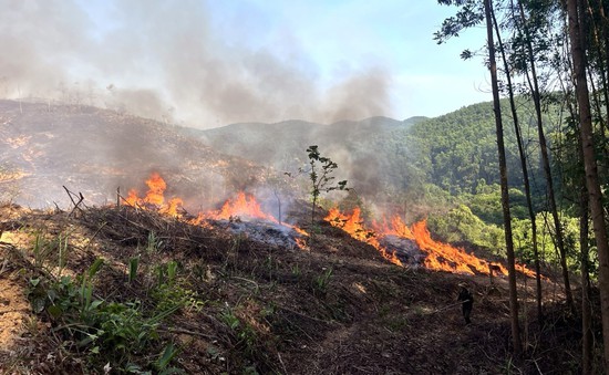 Nắng khô kéo dài, nguy cơ cao cháy rừng ở Tây Nguyên, Nam Bộ