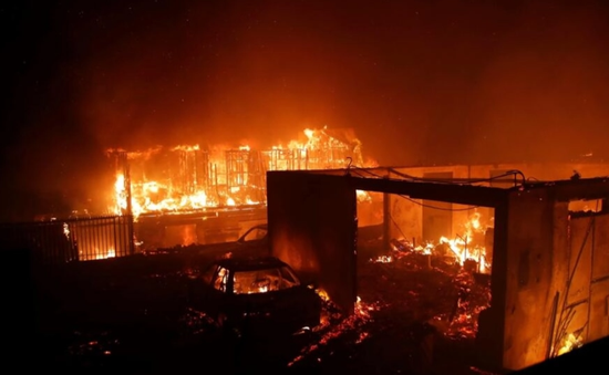 10 người tử vong do cháy rừng, Chile ban bố tình trạng khẩn cấp