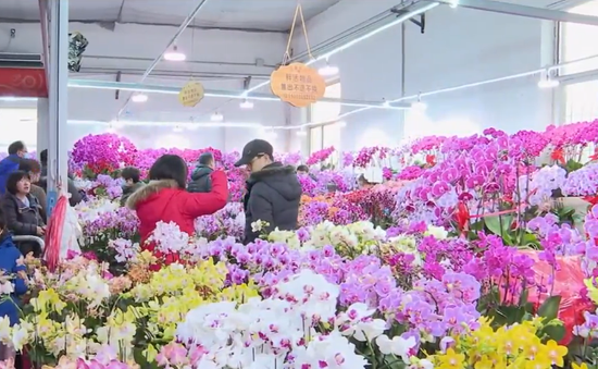 Tấp nập không khí mua sắm tại chợ hoa Tết truyền thống ở Bắc Kinh, Trung Quốc