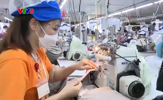 Quảng Nam: Nhiều giải pháp tạo việc làm cho người lao động