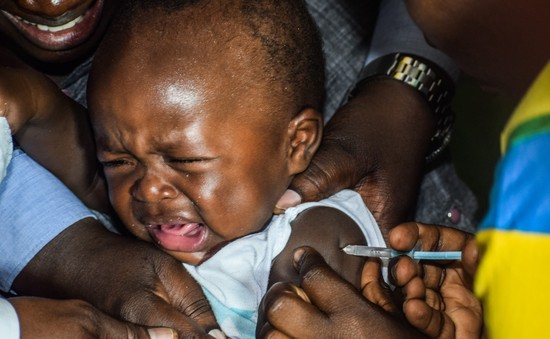 Vaccine sốt rét giá rẻ sắp triển khai ở châu Phi
