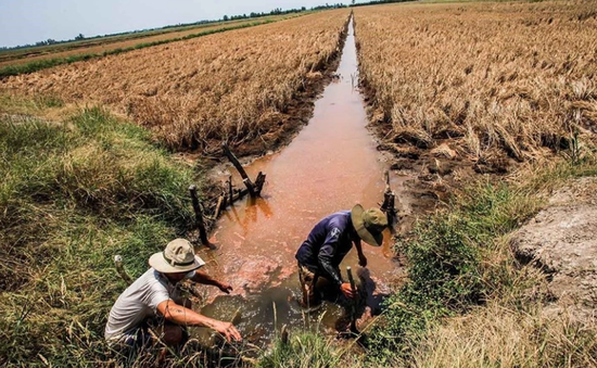 Tháng 3 cao điểm hạn mặn, thiếu nước ở Tây Nam Bộ