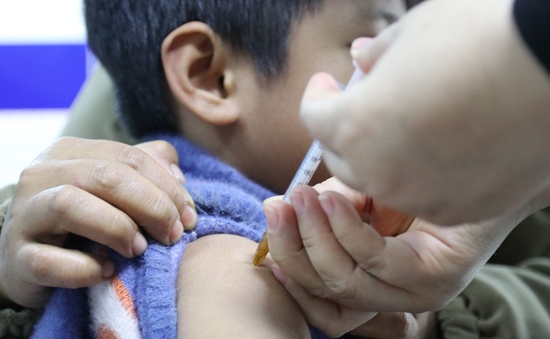 TP. Hồ Chí Minh đảm bảo nguồn vaccine phòng dại