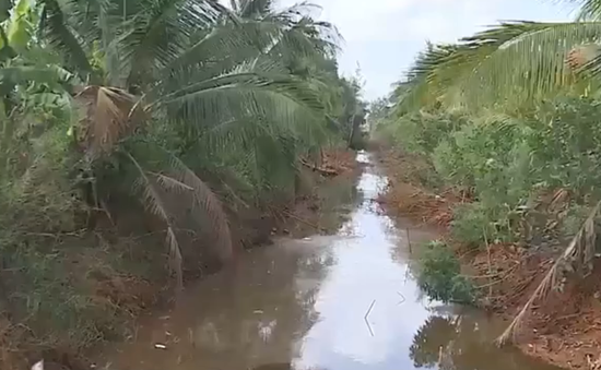 Đồng bằng sông Cửu Long thiệt hại hơn 70.000 tỷ đồng/năm do hạn mặn