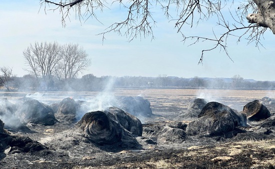 Cháy rừng ở Texas diễn biến phức tạp, xuất hiện đám cháy mới