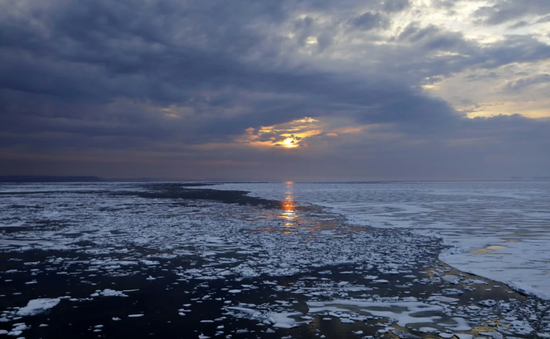 Bắc Băng Dương trước nguy cơ không còn băng trôi