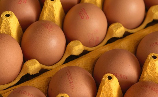 Những lầm tưởng về việc ăn trứng
