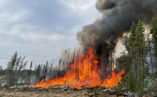 Canada trước nguy cơ tiếp diễn một mùa cháy rừng thảm khốc