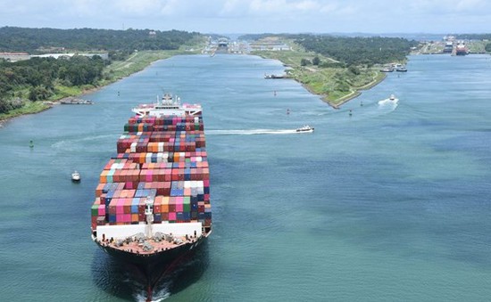 WTO dự báo thương mại toàn cầu sẽ phục hồi