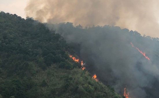Cháy rừng tại Lai Châu nghi do người dân đốt tổ ong