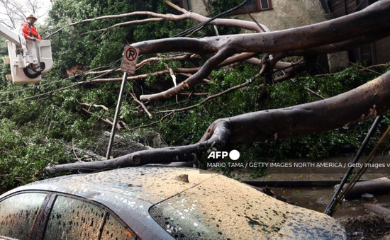 Gió lớn làm đổ cây khiến 5 người thiệt mạng ở Ba Lan