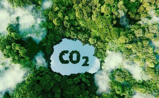 Doanh nghiệp nỗ lực trung hòa carbon