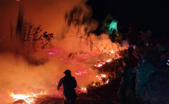 Nỗ lực dập tắt cháy rừng trong đêm tại Lăng Cô