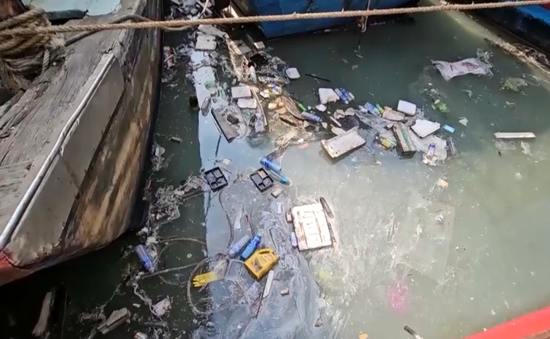 Một số khu neo đậu tránh trú bão tàu thuyền bị ô nhiễm môi trường