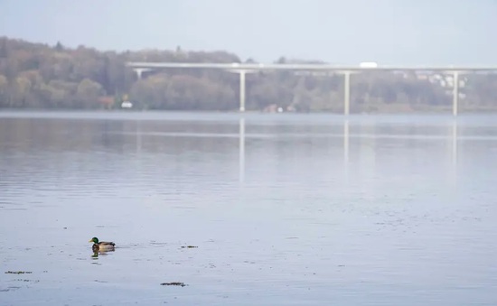 Đan Mạch tổ chức “tang lễ” cho vịnh bị ô nhiễm