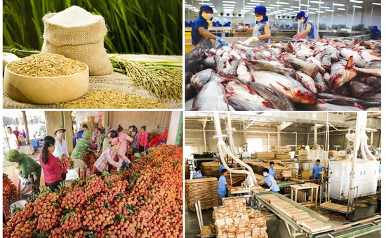 Nông sản Việt khai thác thị trường xuất khẩu mới