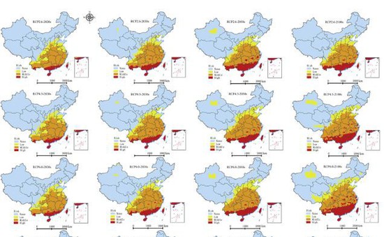 Trung Quốc phát hiện chỉ số khí hậu giúp dự báo dịch sốt xuất huyết