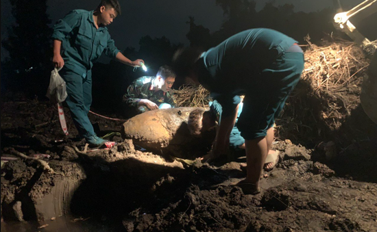 Phát hiện quả bom 350 kg khi san lấp đất ở TP Hồ Chí Minh