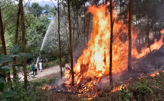 Lâm Đồng tăng cường biện pháp cấp bách phòng, chống cháy rừng