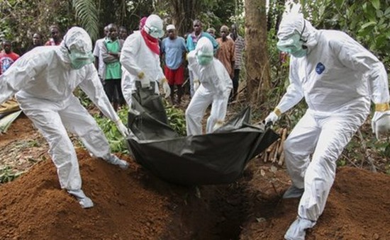 Liberia lập rào chắn, phong tỏa các hướng tiếp cận vùng dịch Ebola