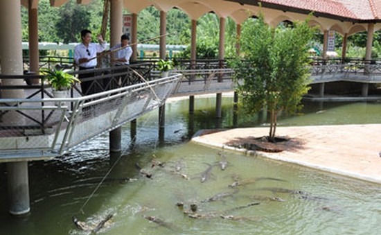 Câu cá sấu ở khu du lịch Yang Bay, Khánh Hòa 