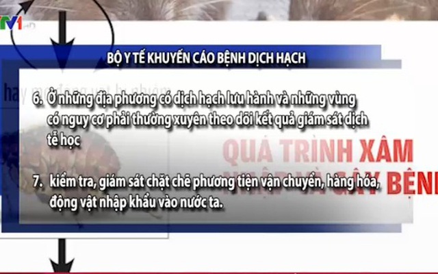 Các biện pháp xử lý những người nhiễm bệnh dịch hạch là gì?