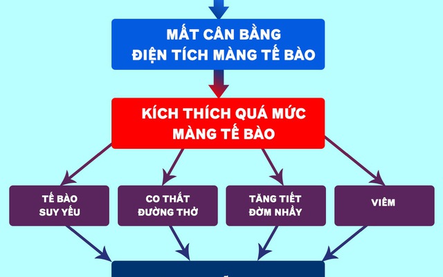 Chi phí để sử dụng thuốc trị hen suyễn của Mỹ là bao nhiêu?