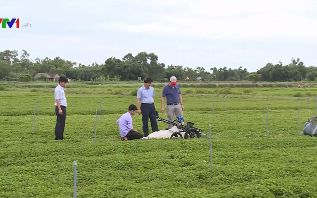 Máy cắt rau má hiện có mức giá trung bình là bao nhiêu?
